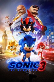Sonic the Hedgehog 3 2024 Hindi English